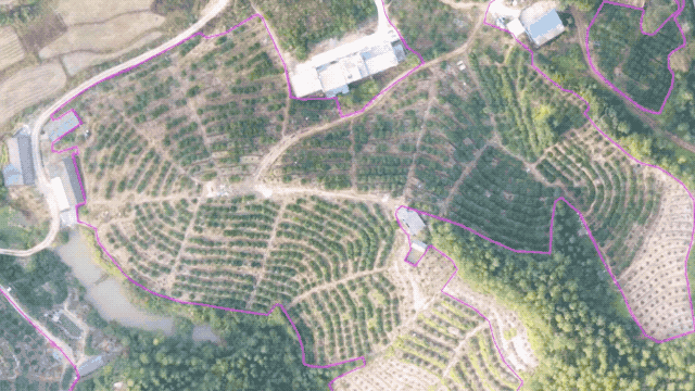 Fruit tree locating and edge recognition by XAI