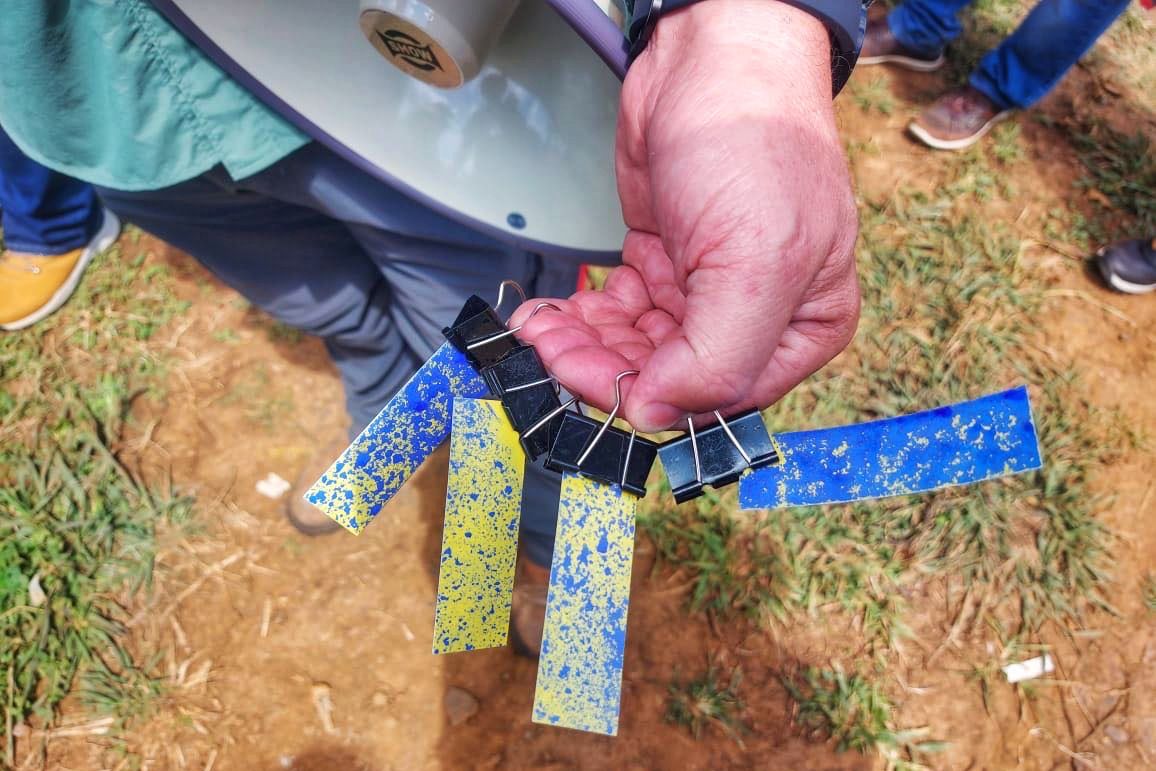 The water sensitive papers reveal uniform spray effect of XAG R150. (source: Timber)