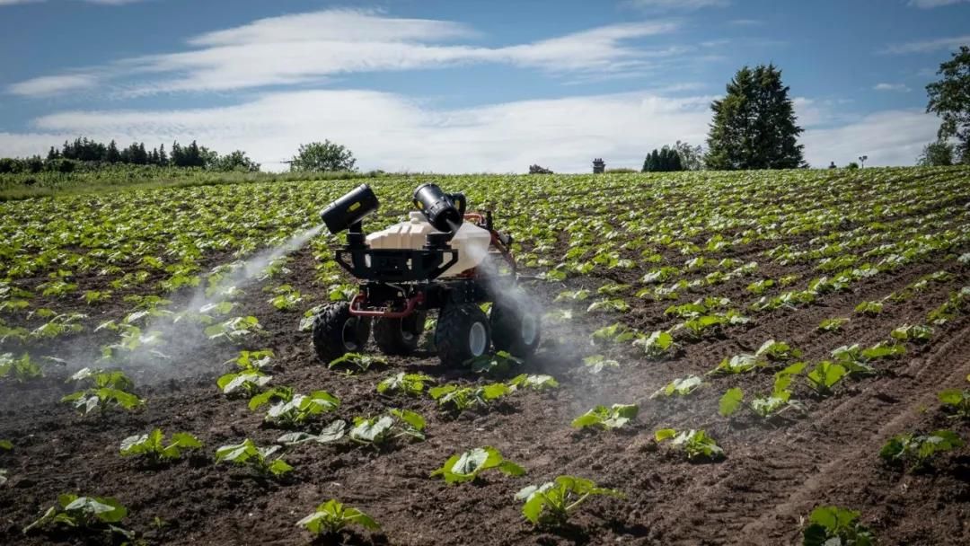 R150 spraying on pumpkin