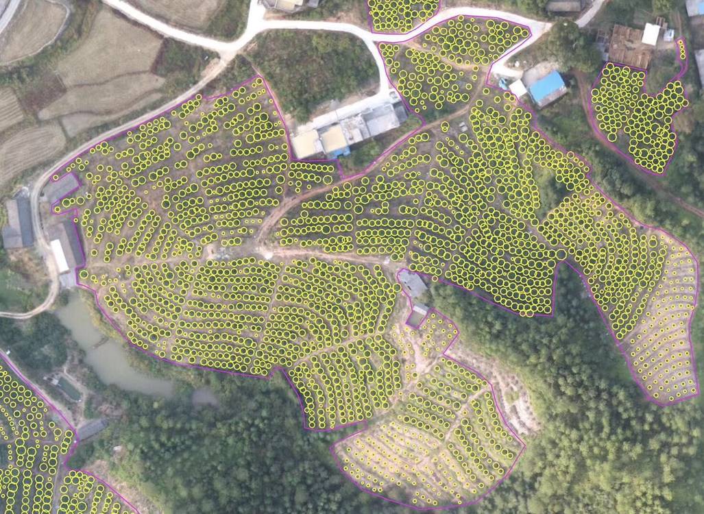 Use AI to locate fruit trees