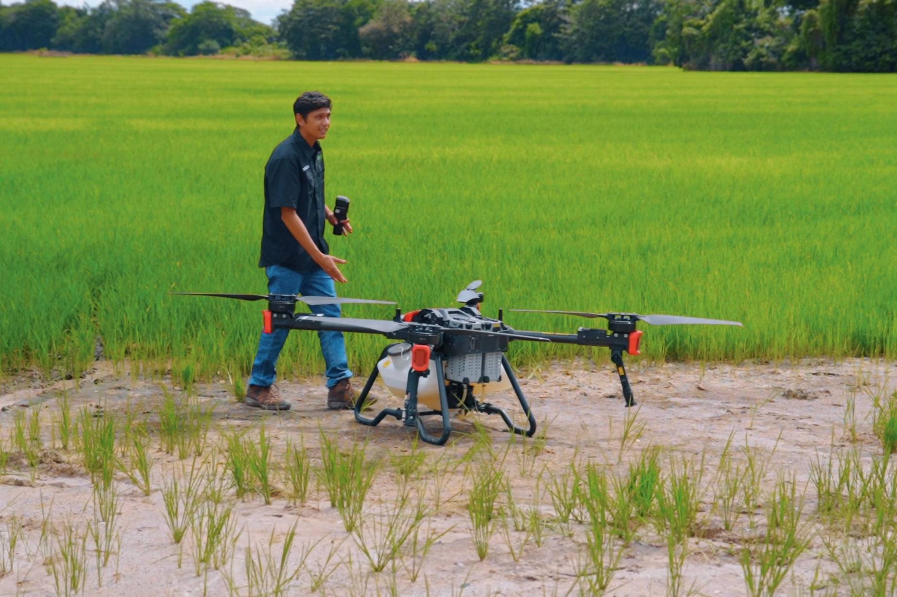 Drone Pilot Introduces XAG P100 Agricultural Drone to Rice Farmers