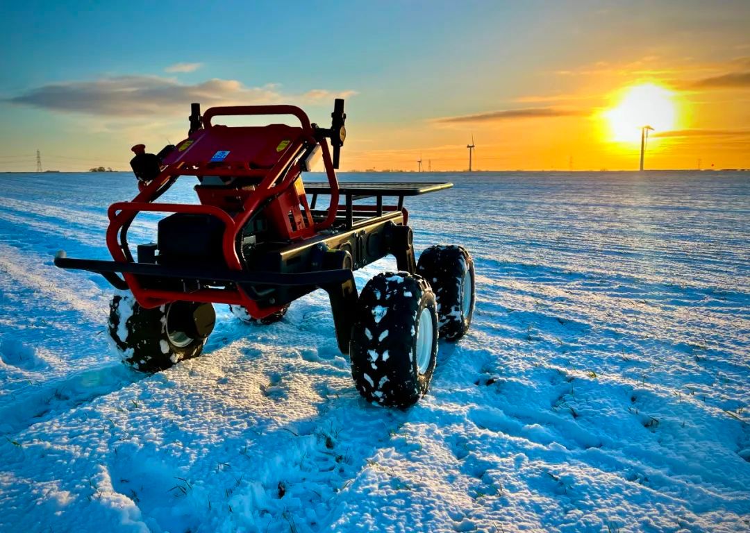 Field Patrol in Snow