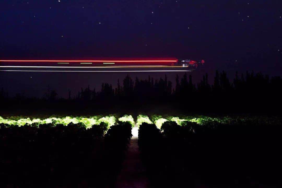 Fully autonomous night operation by XAG P Series Plant Protection UAS