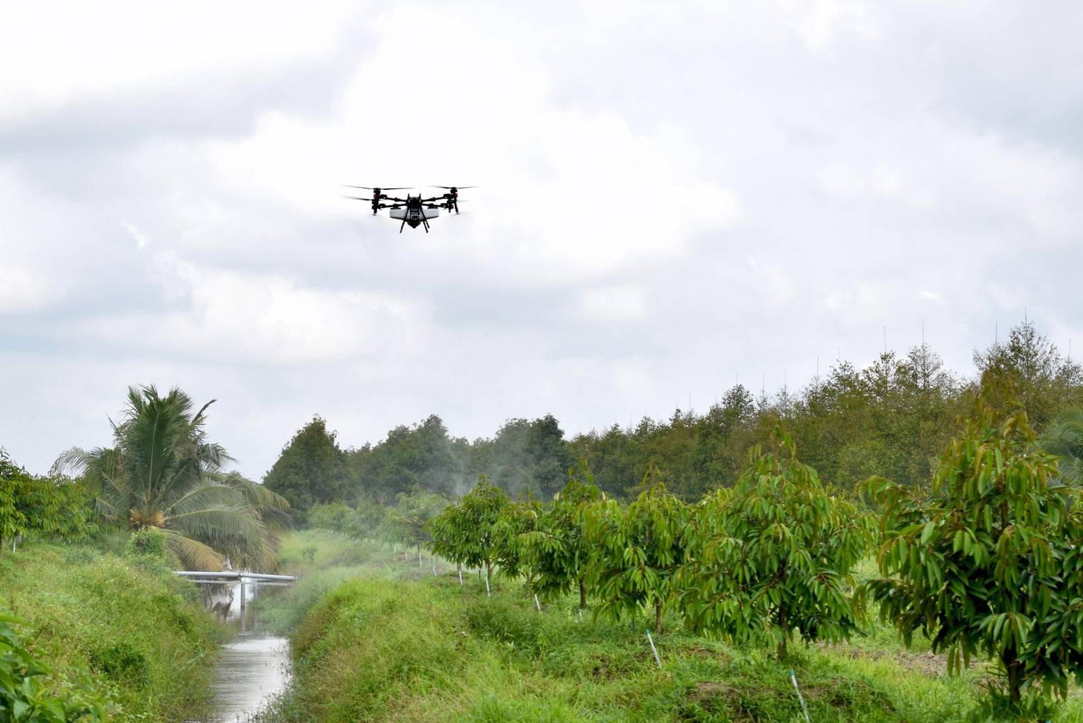 P150 in Operation