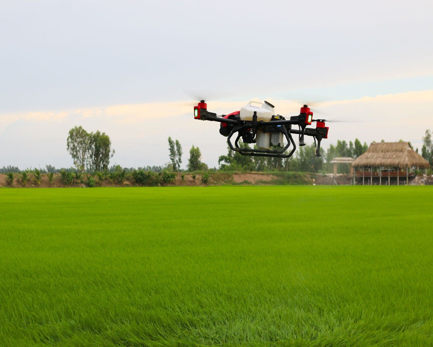 Took off, cool as a breeze, XAG P40 shows outstanding smooth mega-flow spraying to the rice crops.
