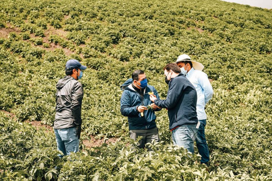 Experts compared the results of sensitive paper tests, where XAG drone made an excellent show on delivering uniform sprays on potato crops, July 2021