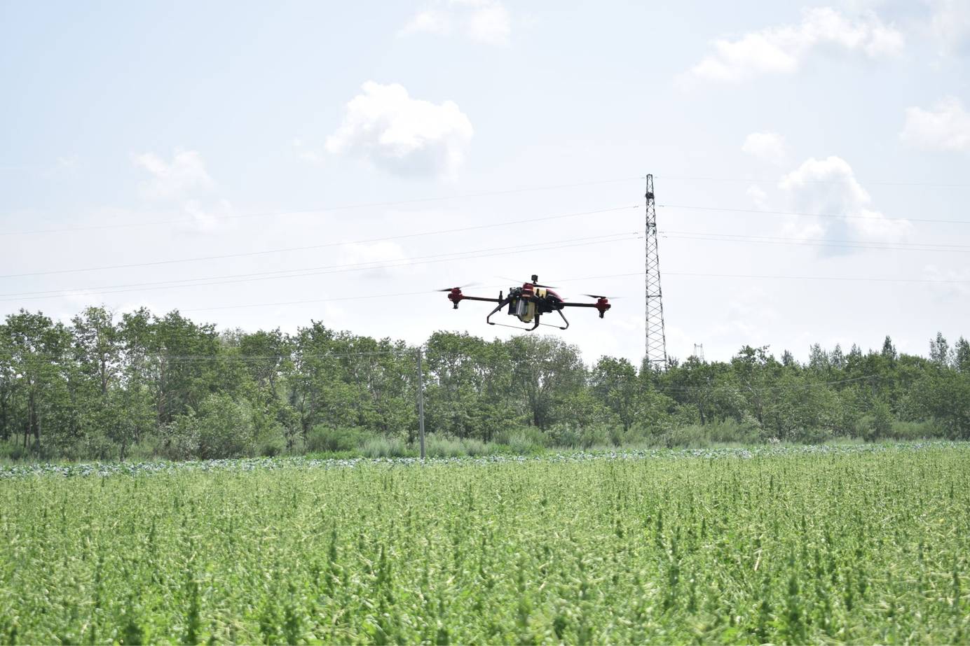 Drone spraying is highly efficient than manual spraying
