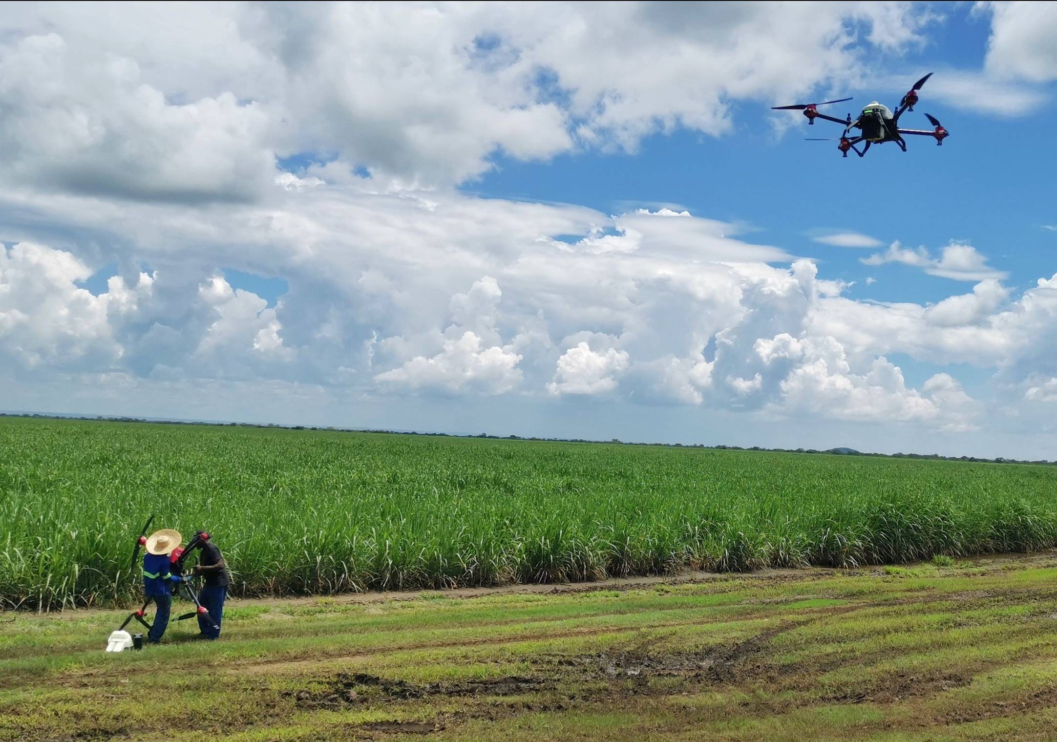 XAG Suggests Drones Could Outsmart Locust Swarms at Night