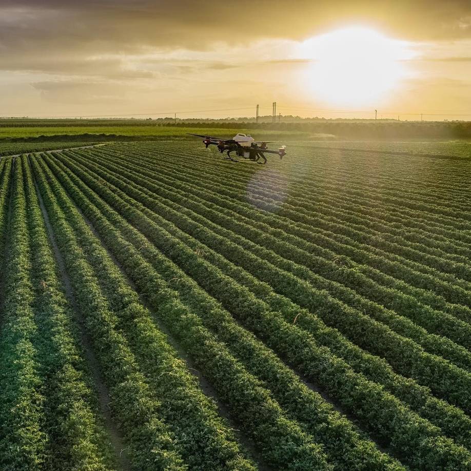 Working from sunrise to sunset, the spray drone would never feel tired and were straight back in to protecting a large piece of waterlogged crops after the heavy rain.