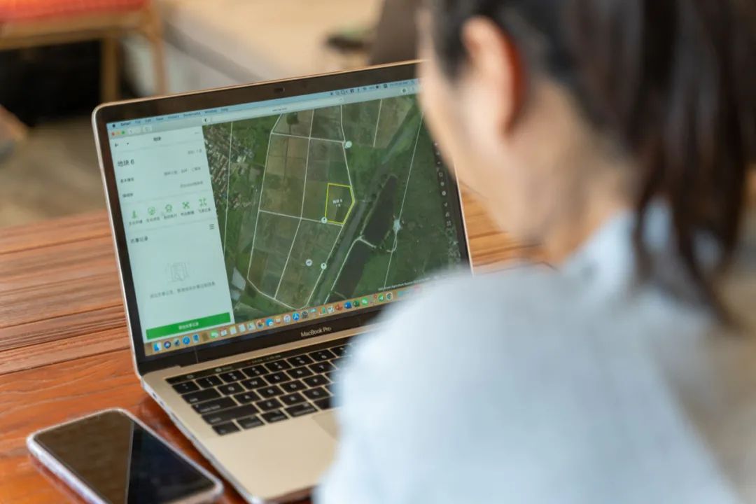 AI crop modelling helps Lihua better manager her farm