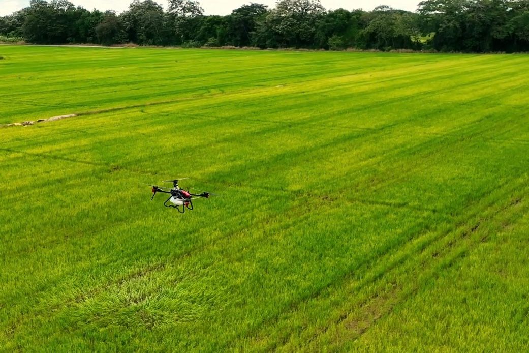 XAG P100 Agricultural Drone on Spraying Demonstration