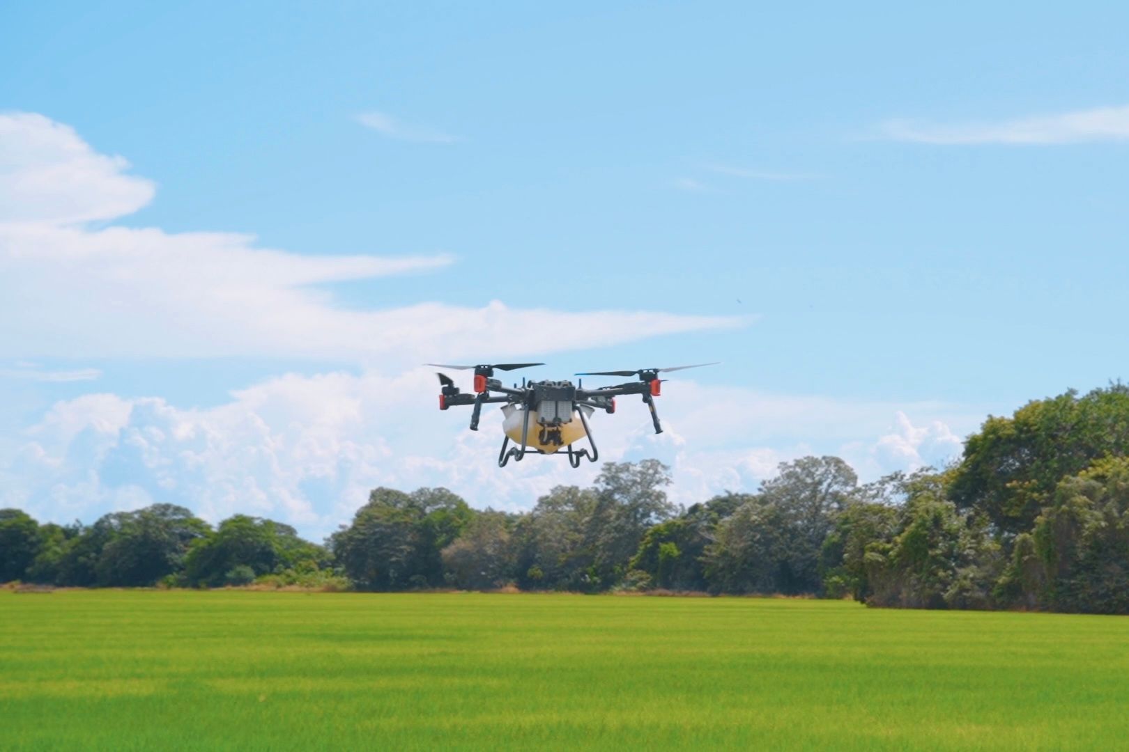 XAG P100 Agricultural Drone in Panama’s Rice Paddy