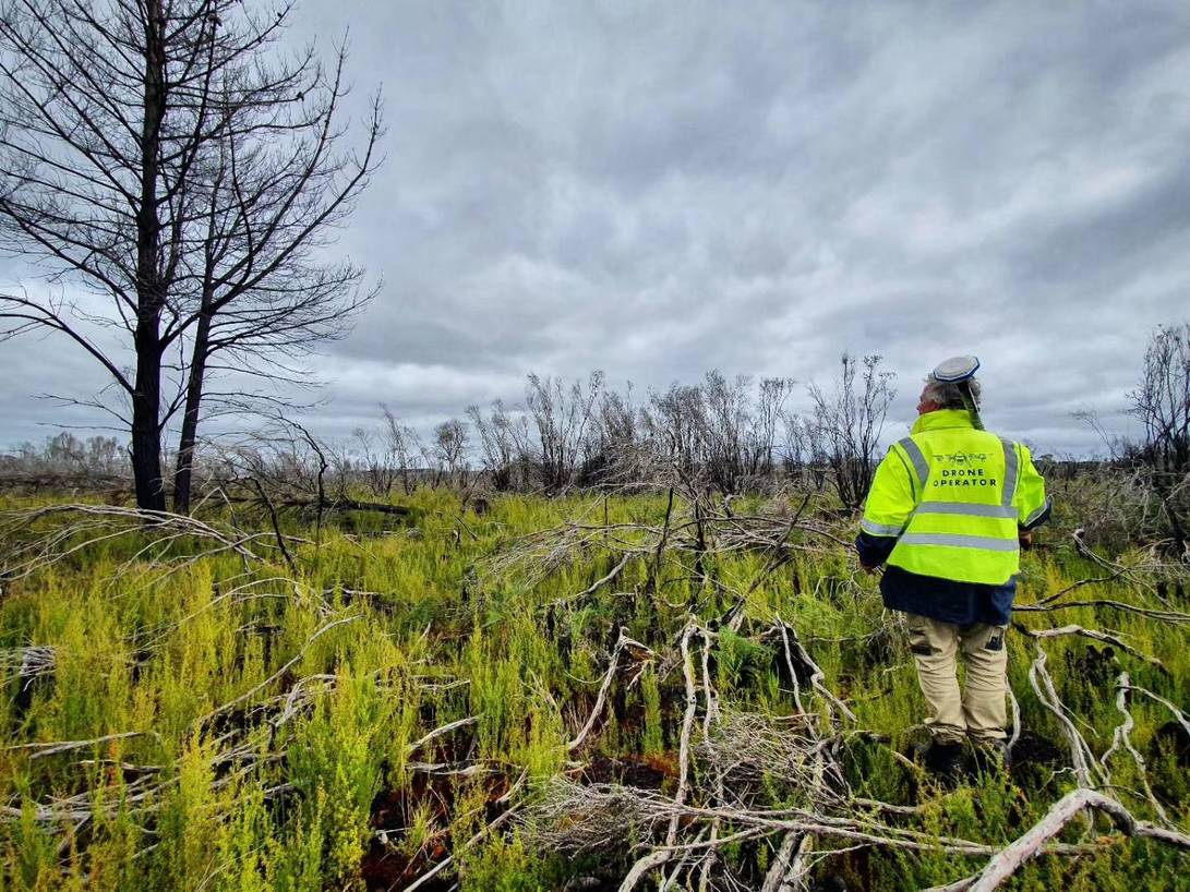 Drone operator investigated the fire-affected land