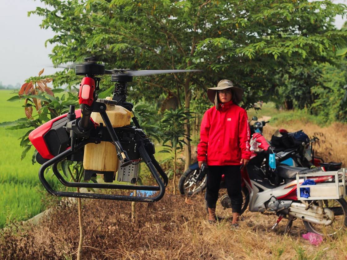 Wear protective gears when doing field works