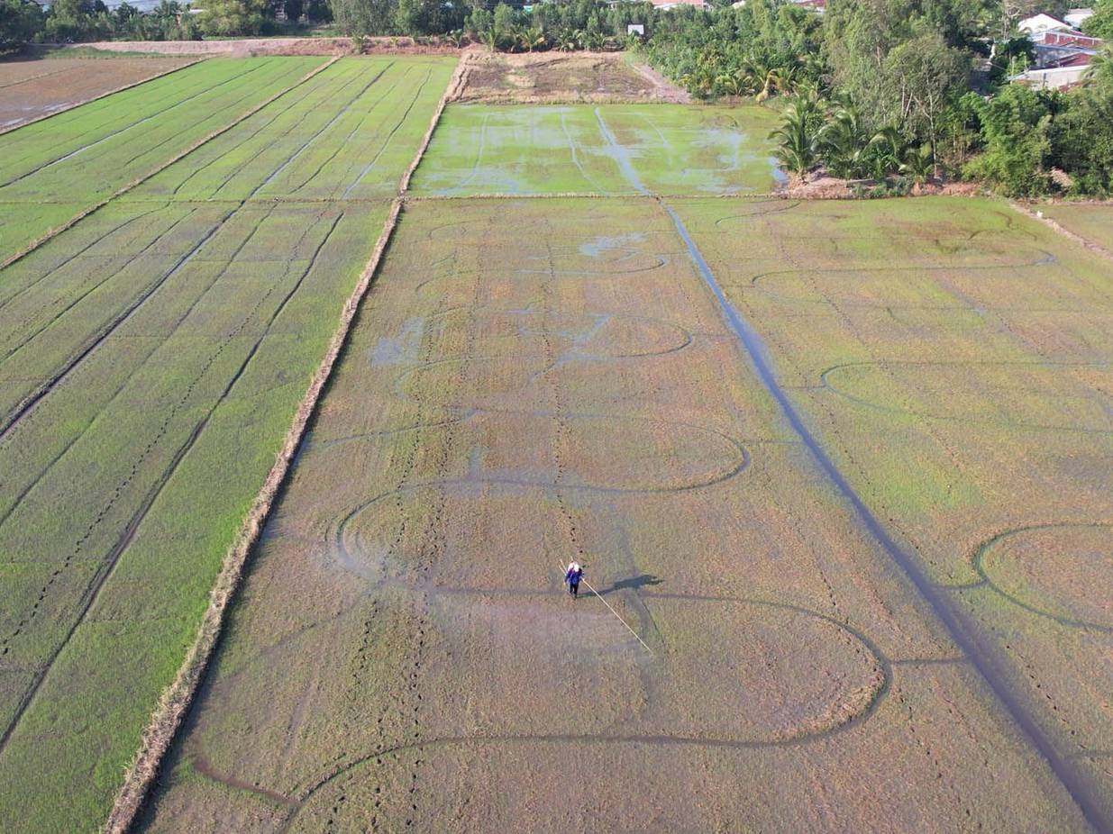 Workers used to carry the backpack sprayer to spray pesticide