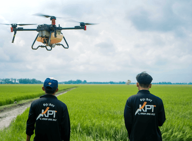 Drone pilots were standing beside a rice paddy to operate drones for spraying 