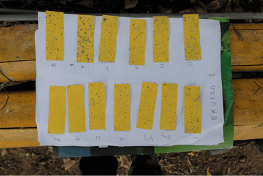 Water sensitive paper tests