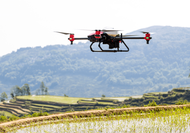 Behind China’s World Heritage: Drones Fly Over Hani Rice Terraces Against Rural Ageing