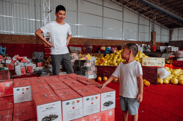 Pomelo ready for sale