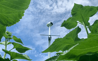 Field Monitor