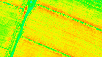 Multi-spectrum image of cotton field