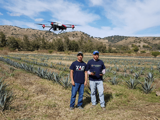 P Series drone spraying Tequila in Mexico