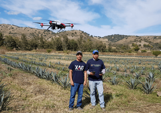Business Development in Latin America: How the Other Side of the Globe Embraced AgTech Innovation?