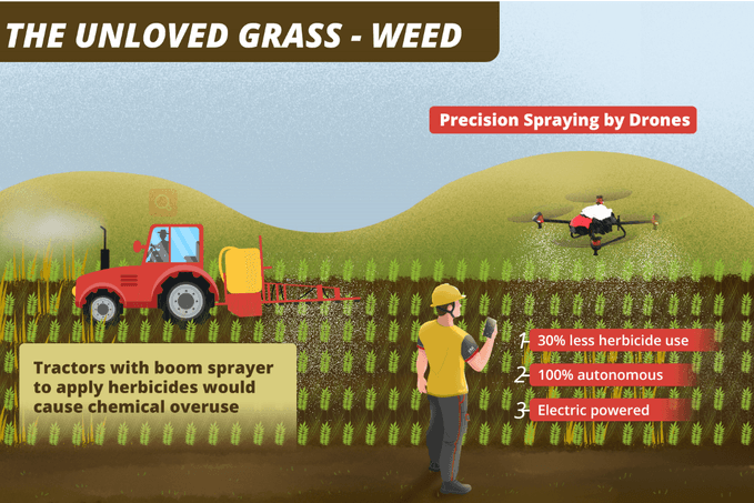 5 Things You Should Know about the Weed Battle